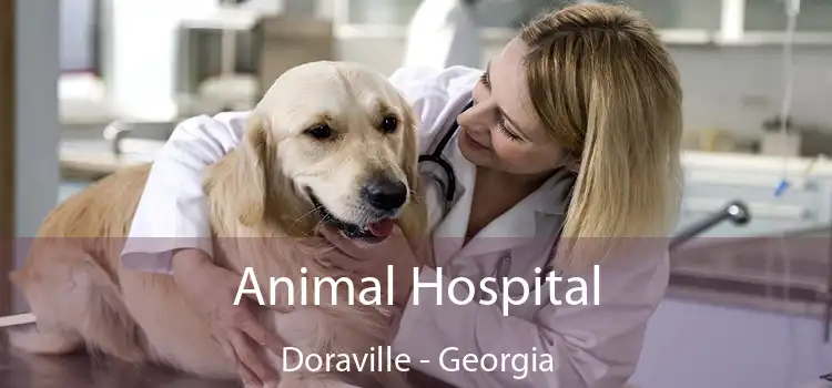 Animal Hospital Doraville - Georgia