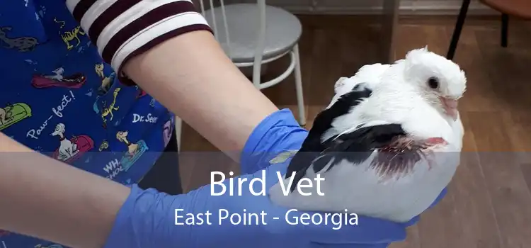 Bird Vet East Point - Georgia