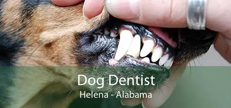 Dog Dentist Helena - Alabama