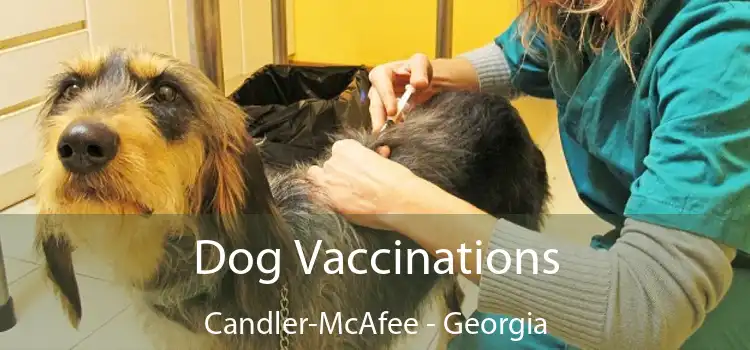 Dog Vaccinations Candler-McAfee - Georgia