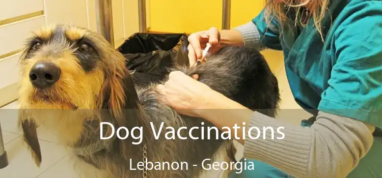 Dog Vaccinations Lebanon - Georgia