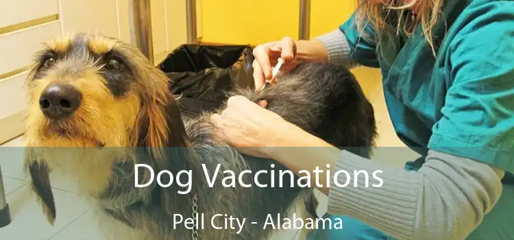 Dog Vaccinations Pell City - Alabama