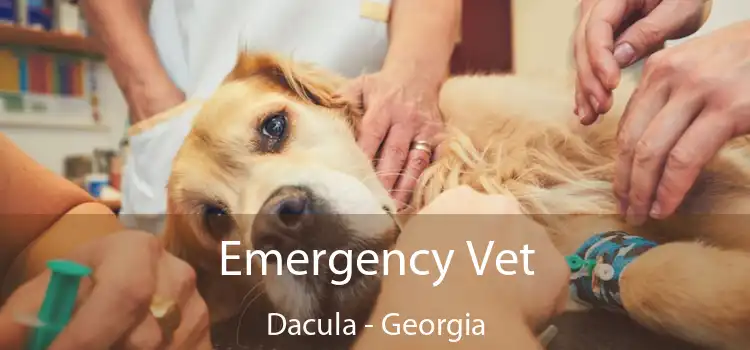 Emergency Vet Dacula - Georgia