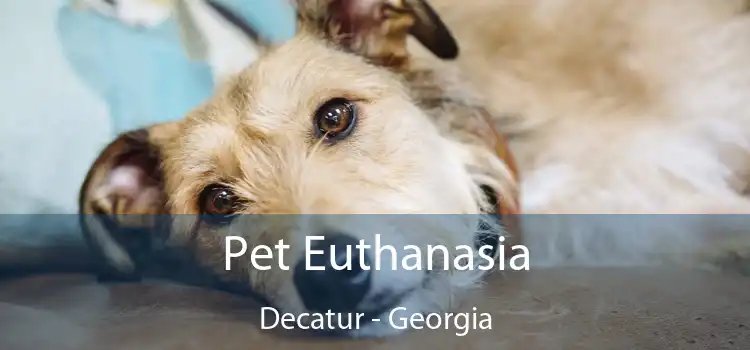 Pet Euthanasia Decatur - Georgia