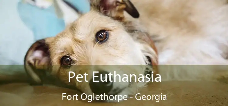 Pet Euthanasia Fort Oglethorpe - Georgia