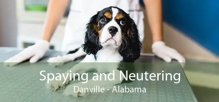 Spaying and Neutering Danville - Alabama